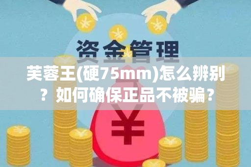 芙蓉王(硬75mm)怎么辨别？如何确保正品不被骗？
